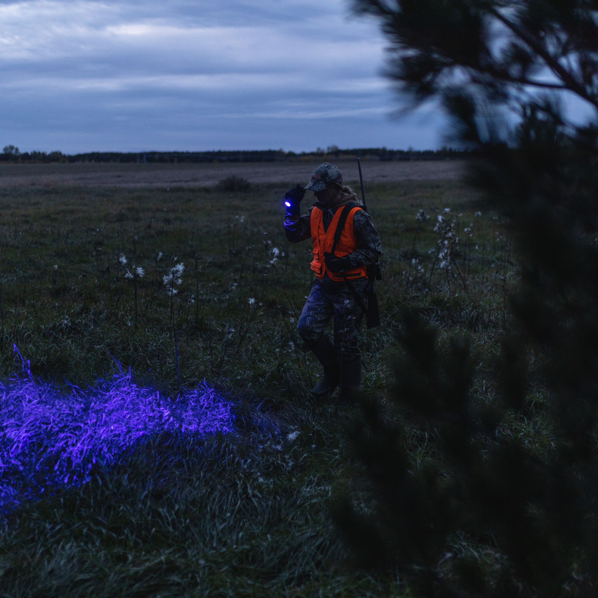 Ledlenser P6R QC Torch held in a hunter’s right hand at dusk in an open field with purple blue light illuminating the grass