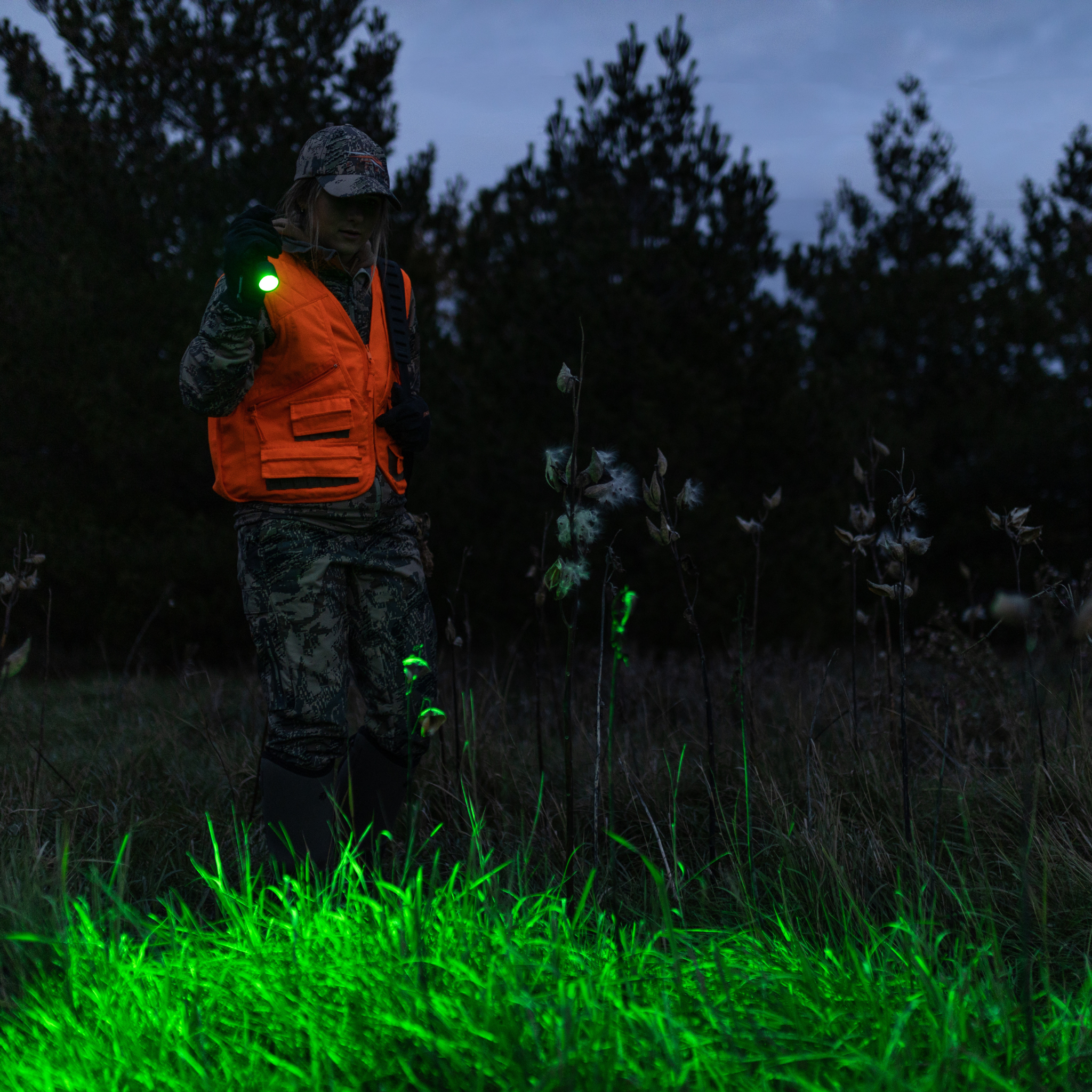 Ledlenser P6R QC Torch held by a person in an orange safety vest outdoors at dusk with a green beam illuminating grass and plants