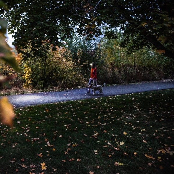 HF4R Core Headlamp; person walking a dog along a tree lined park path at dusk with fallen leaves