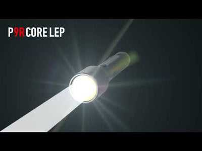 P9R LEP Torch