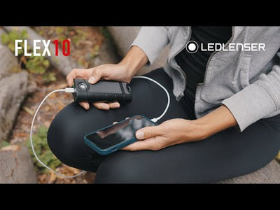 Flex10 Powerbank