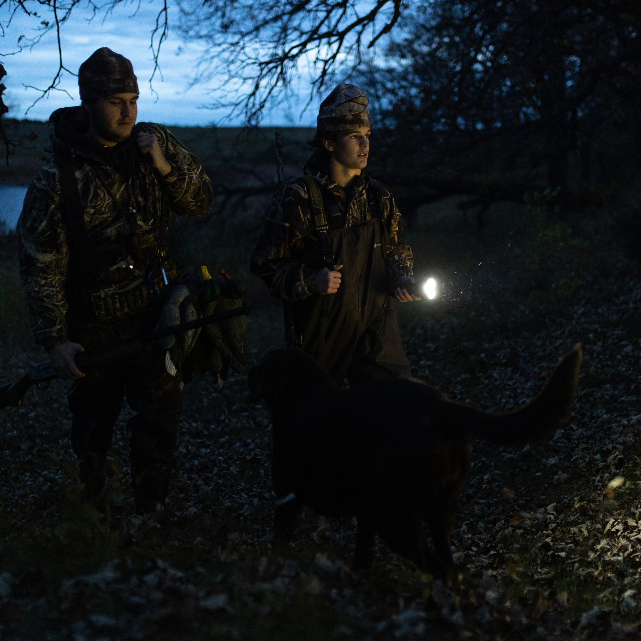 Ledlenser P18R Signature Torch in use by a hunter in camo gear with a dog in a dark forest at dusk