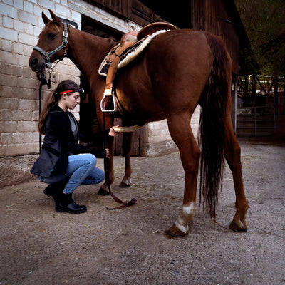 Ledlenser H8R Headlamp worn by a woman kneeling in a stable examining and tending a brown horse's hoof