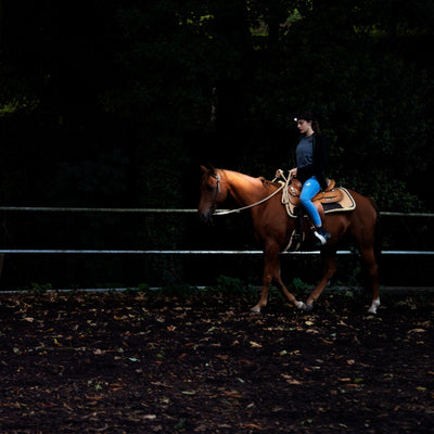 H8R Headlamp worn by a rider on a horse in a dark riding arena with a headlamp beam showing