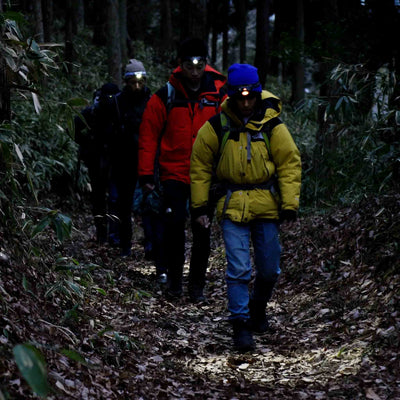 Ledlenser MH4 Powercase Combo headlamp and charging case used by hikers with headlamps on a forest trail at night