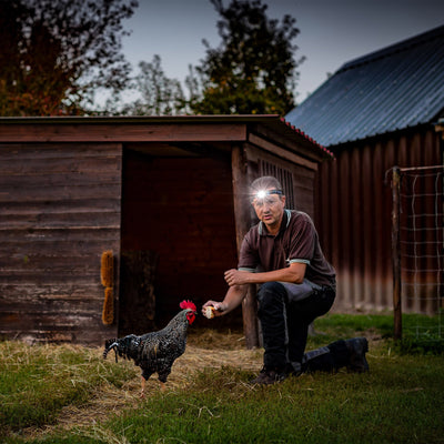 MH4 Black Battery Operated Torch worn on the head by a man kneeling in a rural yard beside a wooden shed with a chicken nearby and the headlamp beam visible