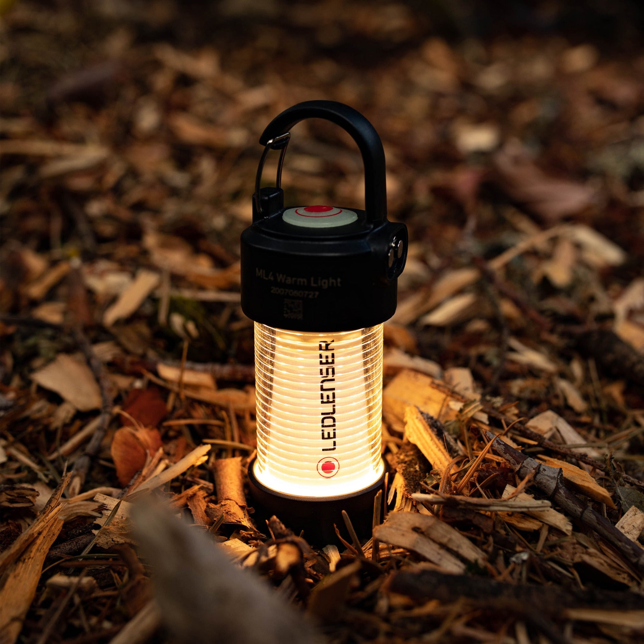 Ledlenser ML4 Warm Light Lantern shown upright on a forest floor black top housing with red button ribbed glowing body